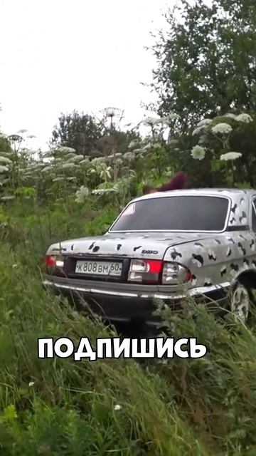 УЛЕТЕЛИ В БОРЩЕВИК!  ДРИФТ НА ВОЛГЕ!  shorts