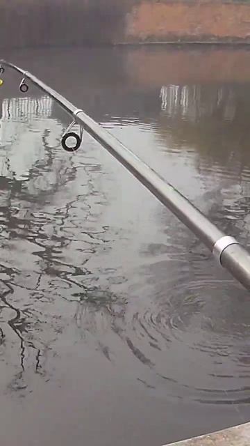 КРАСНОПЁРКА НА БОЙЛ. смотреть онлайн