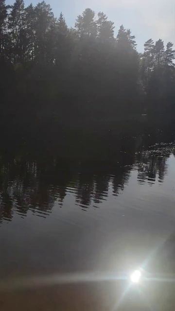 #россия #деревня #санктпетербург #2023 #лев #невероятныеф смотреть онлайн