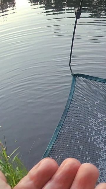 РЫБАЛКА НА ПАУК, ПОДЬЁМНИК В ГЕРМАНИИ смотреть онлайн