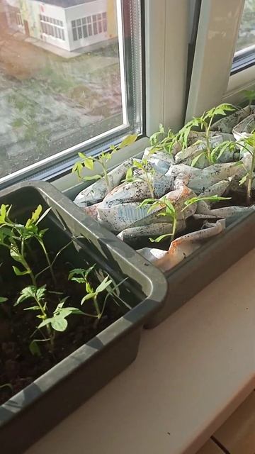 #скоро дачный сезон, посадка, земельные работы смотреть онлайн