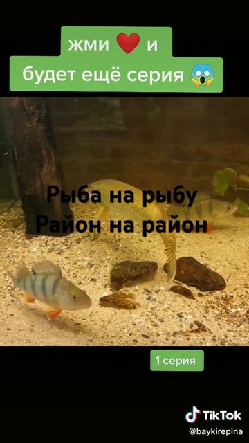 слово рыбы сломанные снасти #рыбы смотреть онлайн