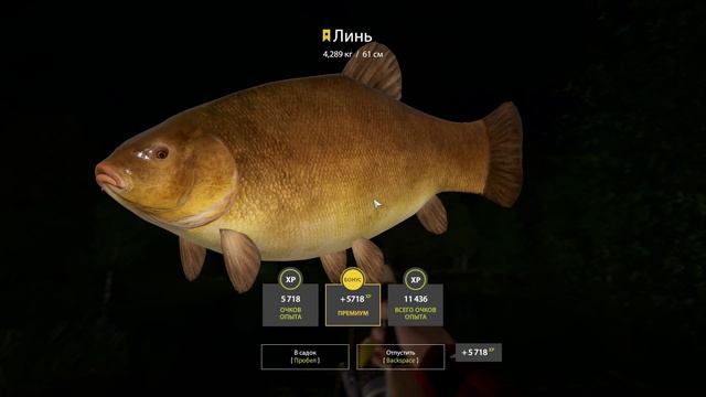 Русская Рыбалка 4/ Russian Fishing 4 - Cooper Lake, Tench Trophy, 09.06.2024 смотреть онлайн