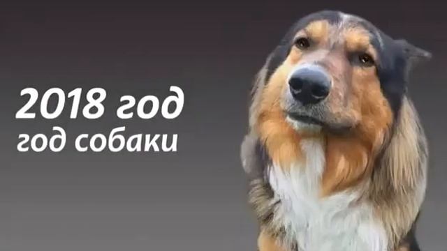 Прикол смотреть онлайн