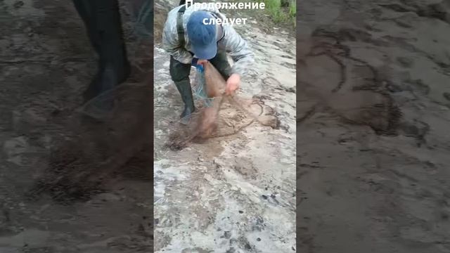 рыбалка щука кастинговая сетьрыба