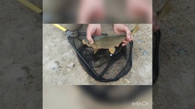 Рыбалка на озере БЕНТ 2. Василич и сазанчик.