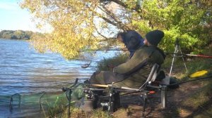 Рыбалка на фидер в октябре 2024.  Клюет на каждом забросе