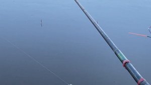 Рыбалка на реке Томь 2025 Смолино,сотый выпуск )