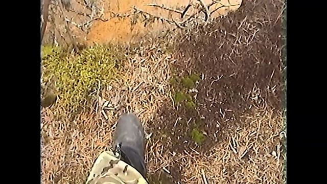 VHS запись №84. "Англия - Если завтра станет лучше" смотреть онлайн