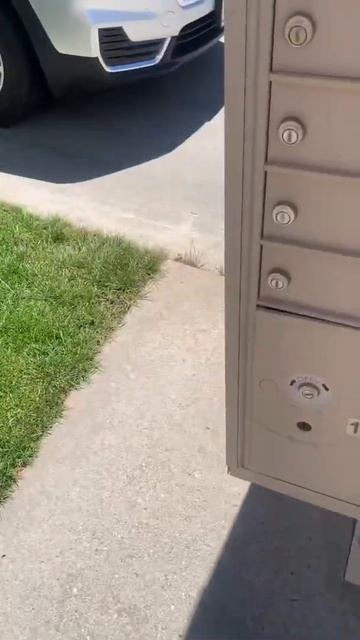 Почта в Америке 📪🇺🇸 смотреть онлайн