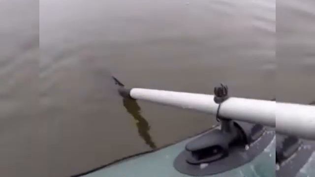 Джиг риг. смотреть онлайн