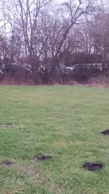 автошкола ADAC, тренировка ездить цепочкой #shorts #germany #live смотреть онлайн