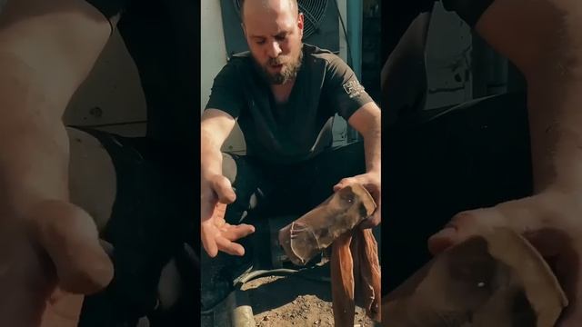 Технологии осушитель в гараж для окраски.