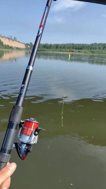 Зачем ловить эту мелочь? #рыбалка #fishing #улов #уклейка смотреть онлайн