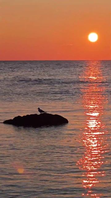 Красота природы, рассвет, релакс морем, музыка для душ? смотреть онлайн