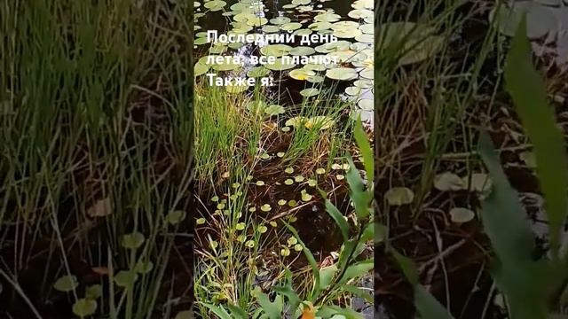 видео завтра будет на канале смотреть онлайн