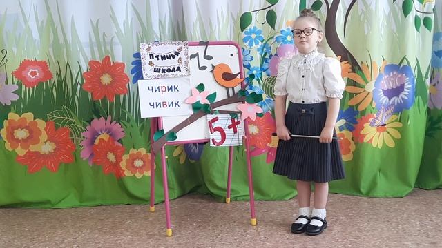 Птичья школа смотреть онлайн