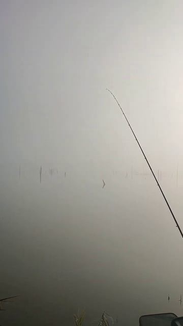 фидер-это Интересно смотреть онлайн