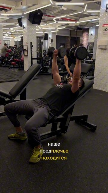 Упражнение «жим лежа на наклонной скамье с гантелями» смотреть онлайн