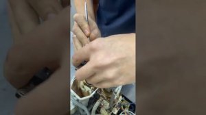 Krups Evidence | разборка