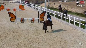 Вожак. Жданюк Алена. 85-90 см. Конкур в Днепре. КСК "Klimenko Stable". 13.04.2018 г.