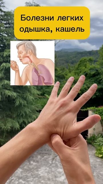 ЗОЖники🔥 Быстрое облегчение, простой совет при боли ? смотреть онлайн