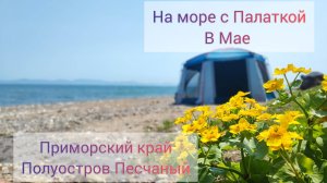 На море в Палатке Майский кемпинг Приморский край Полуостров Песчаный нашли заброшенный лагерь