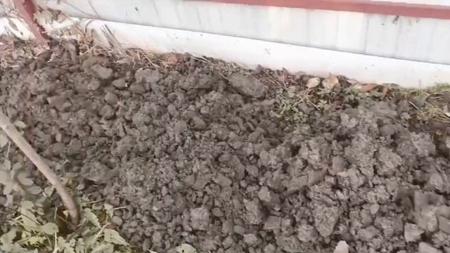 д. Кривошеино. Углубили колодец на два кольца. podkapaev.ru смотреть онлайн