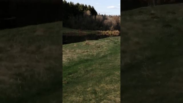 18 сентября 2021 г. смотреть онлайн