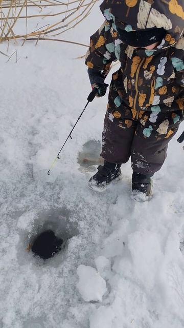 #рыбалка #fishing #топ #рекомендации #рек #хочувтоп #хочувр? смотреть онлайн