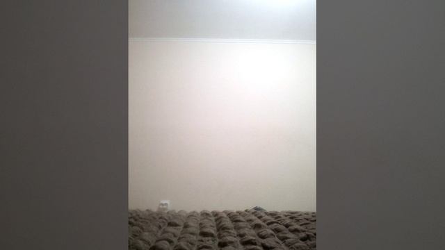 VID_20250514_232248.3gp смотреть онлайн