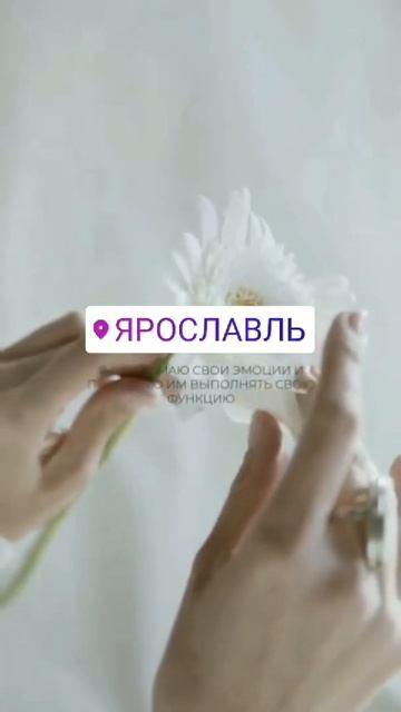 Аффирмация: я принимаю свои эмоции и позволяю им выпол смотреть онлайн