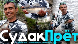 СУДАК ЗА СУДАКОМ! ЛУЧШАЯ РЫБАЛКА В МОРКВАШАХ