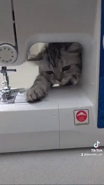 Наладчик швейных машин.Принимает заказы. смотреть онлайн