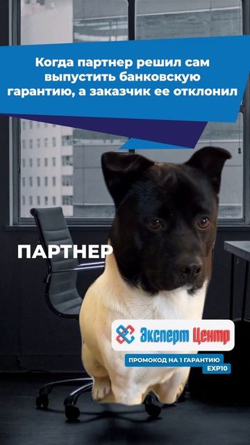 Выпуск банковской гарантии  #фз  #бизнес  #госзакупки  #?