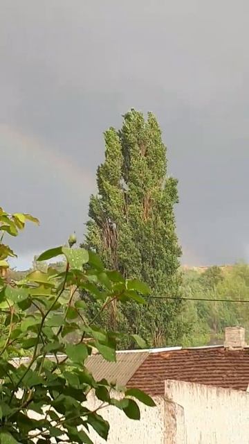 Радуга над терриконом , цветущая акация . смотреть онлайн