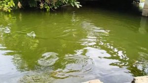 Мой взрослый сын не хочет со мной общаться. Истории из