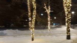 20240207 - Центральный парк Новосибирска