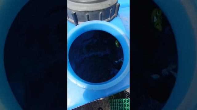 💧☔Автоматический Полив!? 💦 Система автоматического полива и Автоматический полив газона. #shorts