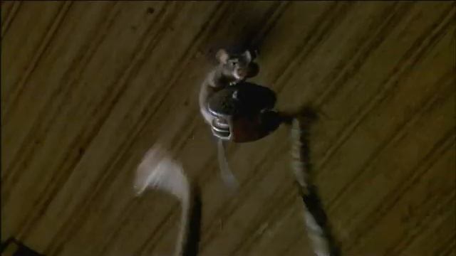 Мышиная охота К1 смотреть онлайн