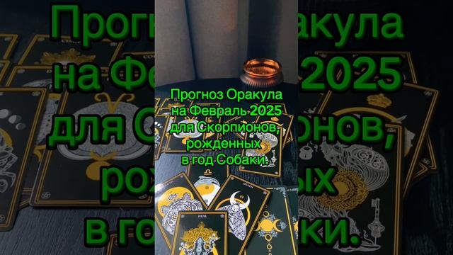Прогноз Оракула на Февраль, для Скорпионов, рожденных