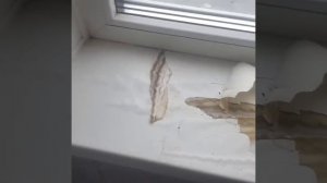 Некачественный подоконник, отслоился.