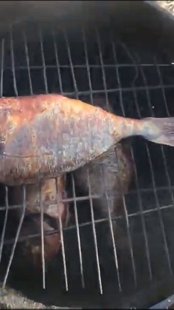 Дорадо горячего копчения готова. смотреть онлайн