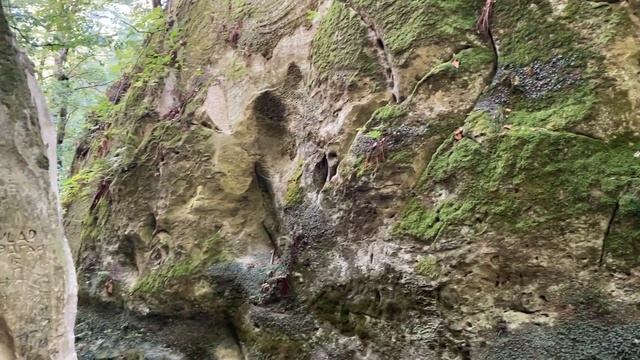 Горячий ключ. Прогулка в октябре смотреть онлайн