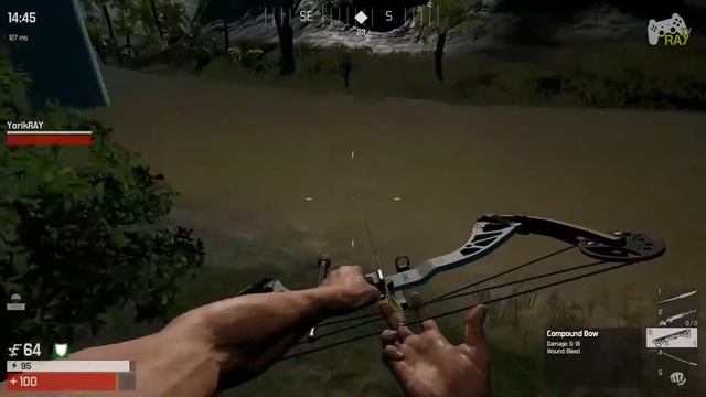 The culling  Братюня взял второе место