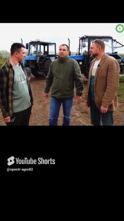 Сложно ли посадить свой сад миндаля