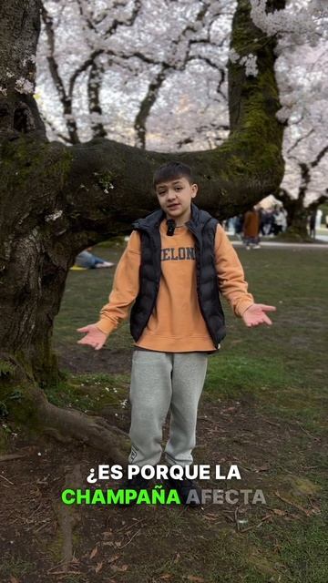 Есть ли на рынке СЕЗОННОСТЬ #трейдинг #финансоваяграм? смотреть онлайн