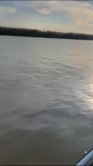 Астрахань. Володарский конец сентября 2024 смотреть онлайн