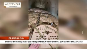 ВТОРУЮ ПАРТИЮ ЦЫПЛЯТ ДЛЯ ПТИЦЕФАБРИКИ «ПИОНЕРСКОЕ» ДОСТАВИЛИ НА КАМЧАТКУ • ПРЯМАЯ РЕЧЬ