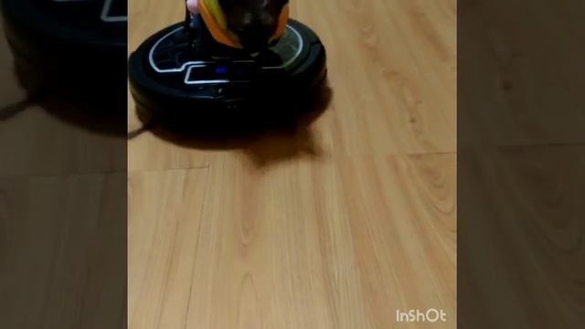 Маркизон и робокоп KIT FORT KT-503 смотреть онлайн